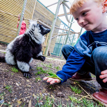 Animal Encounter