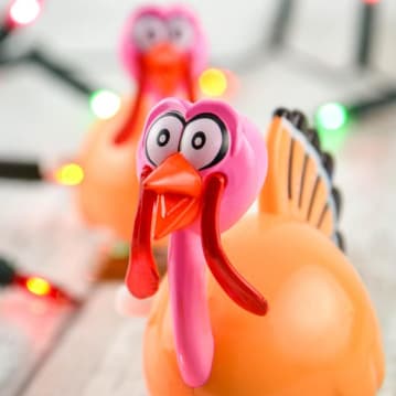 Racing Turkeys