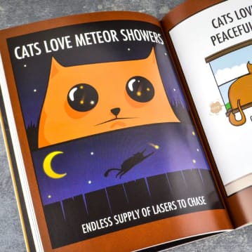 How To Tell If Your Cat Is Plotting To Kill You Book