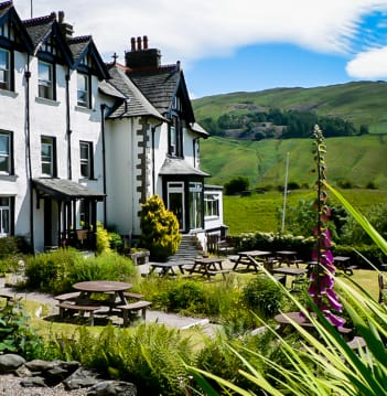 Dog Friendly Hotel Stay 