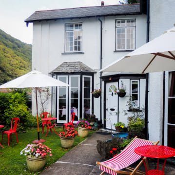Dog Friendly Hotel Stay 
