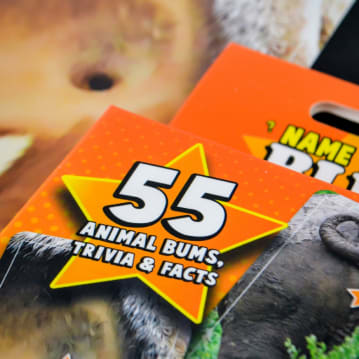 Name That Bumhole Game