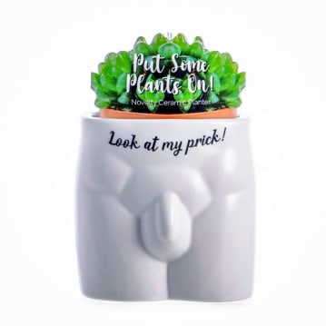 Look At My Prick Male Anatomy Plant Pot
