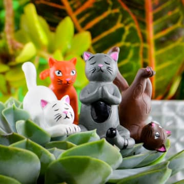 Mini Plant Pot Yoga Cats