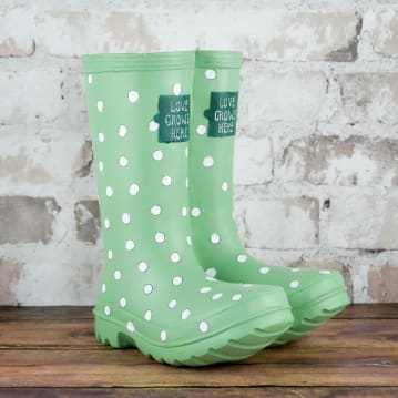 Welly Boot Planter 