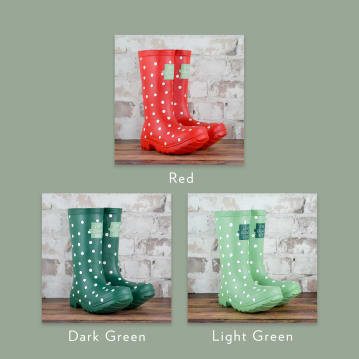 Welly Boot Planter 