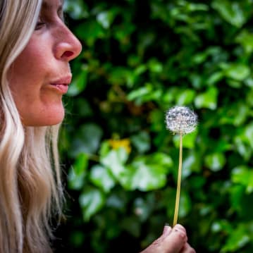 Meditation & Yoga Retreat Day at Synergy Experiences