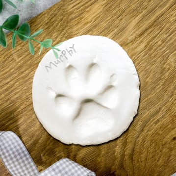 Puppy's First Keepsake Box