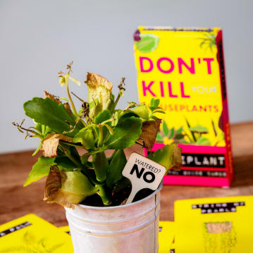 Don't Kill Your Houseplants Survival Guide 