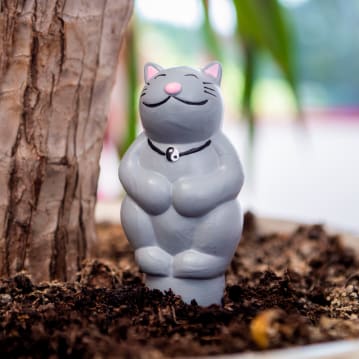Grow with the Flow Kitty Gardening Watering Spikes