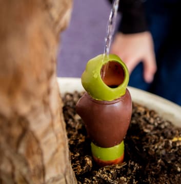 Grow with the Flow Toad Gardening Watering Spike