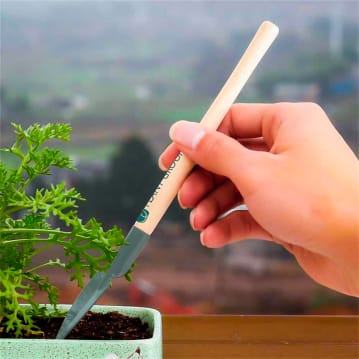Indoor Plant Grooming Tools