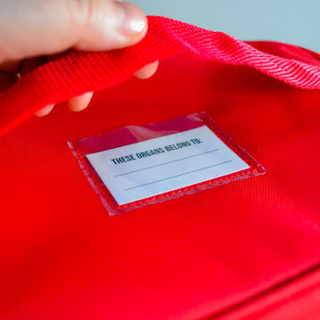 Human Organs Lunchbag