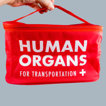 Human Organs Lunchbag