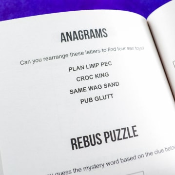 Naughty Puzzle Book - Cheeky Brain Teasers