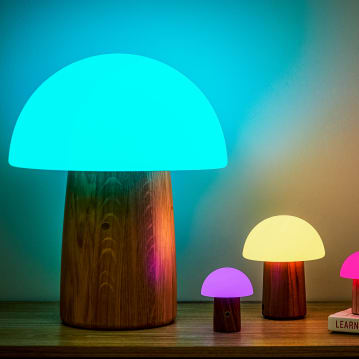 Wooden Mushroom Lamps
