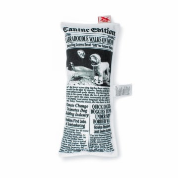 Fake News Dog Toy