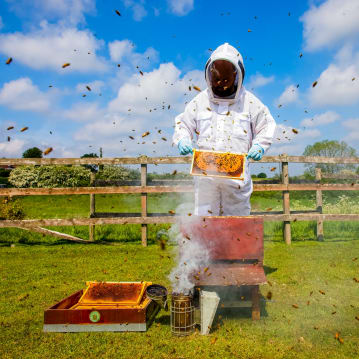 Half Day Beekeeping Experience For Two at More Bees Please 