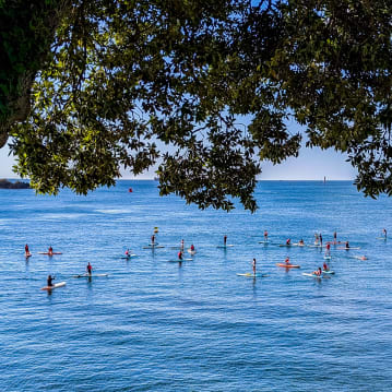 Standup Paddleboarding Lesson Experience