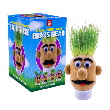 Grow Your Own Grass Head