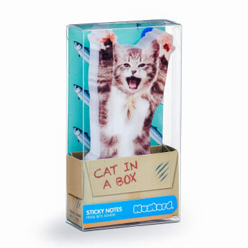 Cat In A Box - Sticky Notes