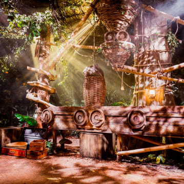 The Paddington Bear™ Experience & River Cruise for 1 Adult & 1 Child