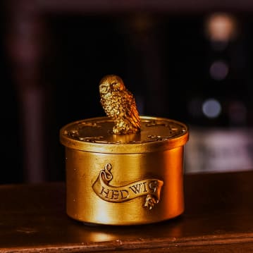 Warner Bros Harry Potter Alumni Hedwig Trinket Box