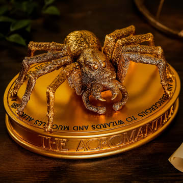 Warner Bros Harry Potter Herbology Aragog Figurine