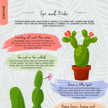 Please Don't Die: A Guide For Neglectful Houseplant Owners