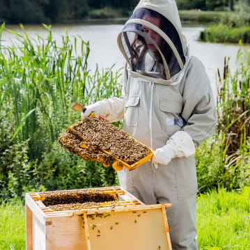 Hiver's Rural Beekeeping and Beer Tasting