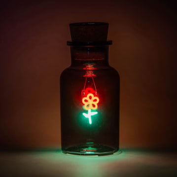 Flower LED Neon Message in a Bottle Light