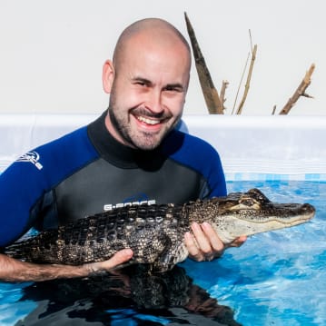 Swim with the Crocodiles for Two