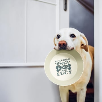 Named Dog Bowls