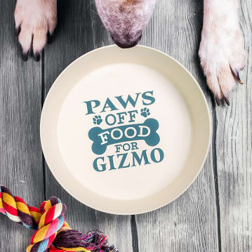 Named Dog Bowls