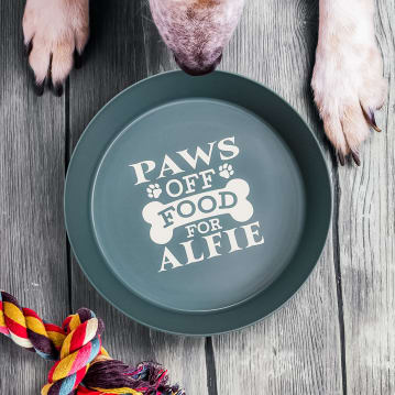 Named Dog Bowls