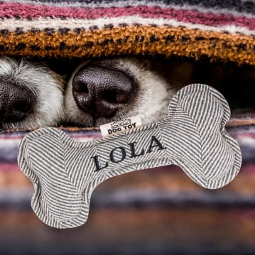 Named Squeaky Dog Toys