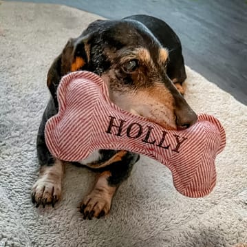 Named Squeaky Dog Toys