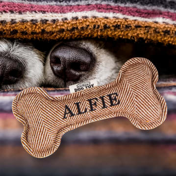 Named Squeaky Dog Toys