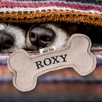 Named Squeaky Dog Toys