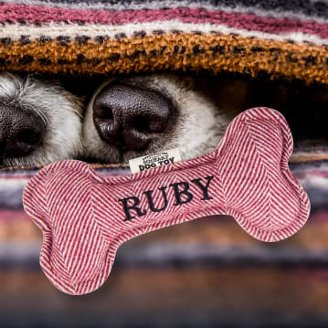 Named Squeaky Dog Toys