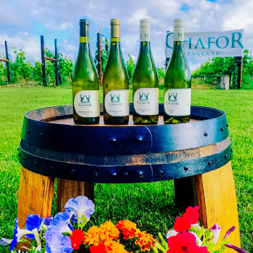 Vineyard Tour and Tasting at Chafor Wine Estate
