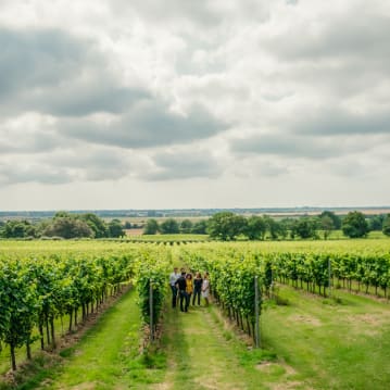 Gusbourne Estate Sparkling Wine Tasting for 2