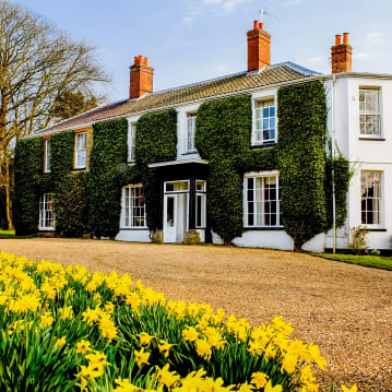 Flowering Jasmine Afternoon Tea for Two at The Grove Cromer