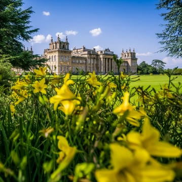 Entrance to Blenheim Palace & Three Course Lunch at Weston Manor for Two