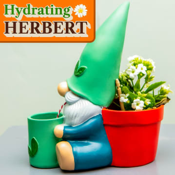 Hydrating Herbert - Plant Waterer and Plant Pot