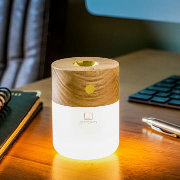 Gingko Smart Diffuser Lamps