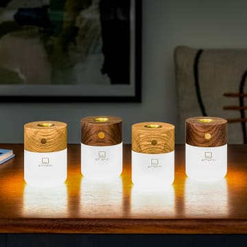 Gingko Smart Diffuser Lamps