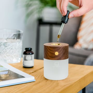 Gingko Smart Diffuser Lamps