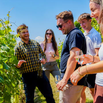 Tour & Picnic for Two at Wildshark Vineyard