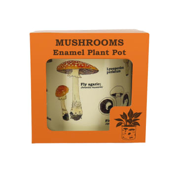 Mushroom Enamel Plant Pot